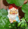 Der Wegbegleiter