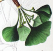 Scheinbares und Unscheinbares