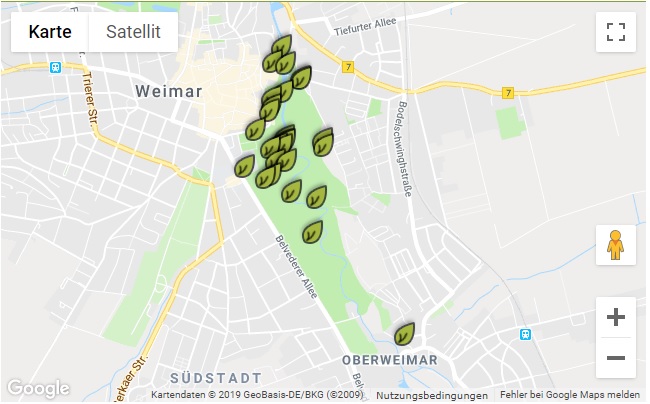 Rundgang durch den Park: